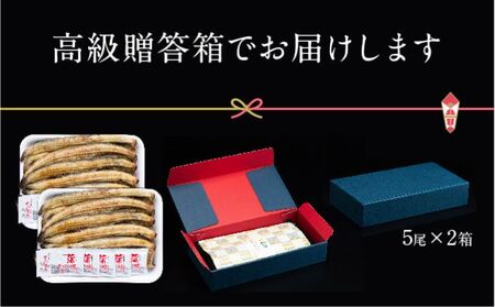 【浜名湖産】朝じめ うなぎ 溶岩焼き 白焼き 10尾（約140g×10尾） 土用の丑の日 丑の日 熟練 職人 国産 天然溶岩 手焼き 鰻専門店 焼きたて 美味しい 冷蔵便 極上 ふわとろ 食感 