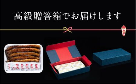 うなぎ 浜松 溶岩焼き 蒲焼き 5尾 (約140g×5尾) 朝じめ 鰻 タレ セット 土用の丑の日 丑の日 国産うなぎ 浜松うなぎ 浜名湖うなぎ 国産 蒲焼 ギフト プレゼント 贈答 レンジ 調理 レンチン 夏バテ防止 浜名湖 産地直送 冷蔵 冷蔵配送 静岡県 浜松市