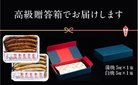 浜名湖産 朝じめ鰻 溶岩焼きコンビセット 約140g×10尾（蒲焼き 5尾・白焼き 5尾） 熟練 職人 国産 天然溶岩 手焼き 鰻専門店 焼きたて 美味しい 冷蔵便 極上 ふわとろ 食感 