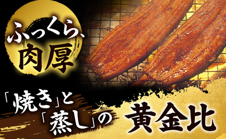 うなぎ 浜松 浜名湖産 鰻 蒲焼 約150g× 2尾 たれ 10ml×2 小分け セット 土用の丑の日 丑の日 国産うなぎ 浜松うなぎ 浜名湖うなぎ 国産 蒲焼き 夏バテ防止 浜名湖 産地直送 冷凍 冷凍配送 静岡 静岡県 浜松市