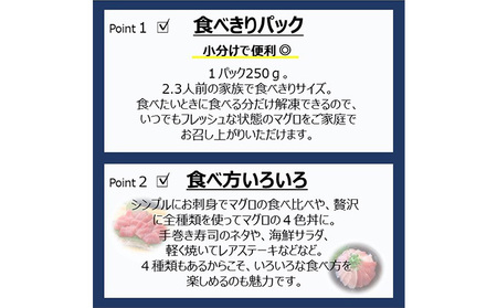 【6回定期便】天然まぐろ食べ比べ4種セット 合計1kg（バチマグロ切落し・びん長マグロ・ミナミマグロ・ネギトロ 250g×各１袋）×6回【配送不可：離島】