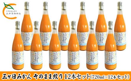三ヶ日みかん そのまま絞り 12本セット（720ml×12本セット） みかん ジュース 100% 果物 フルーツ 安全 おいしい 果肉 こだわり 酸味 濃厚 甘い 果汁飲料 無添加 子供 