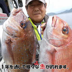 釣り 船乗船券 1名様 半日 魚磯丸  釣り