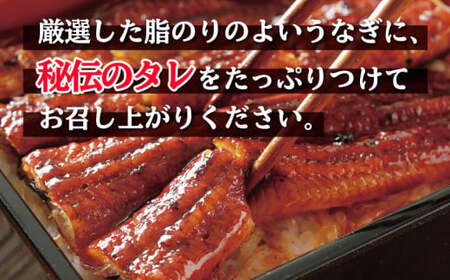 うなぎ 蒲焼き 6尾 約800g うなぎ