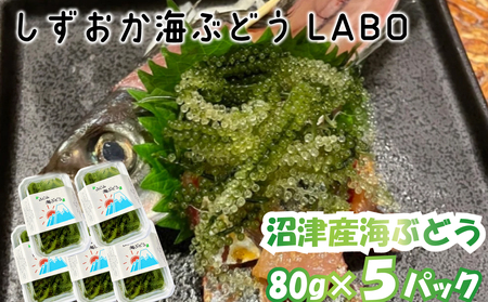 【数量限定】海ぶどう 80g×5パック 産地直送 海ぶどう
