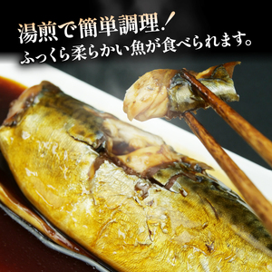 煮魚 骨ごと 3種 いか煮肝入り 1杯 冷凍 煮魚