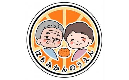 せとか 12個 約 2.5 kg はらみかん農園 せとか