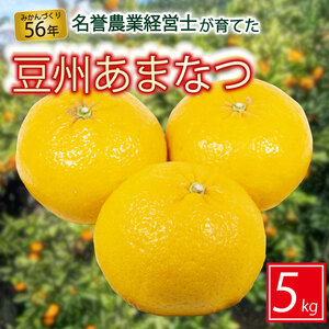 豆州 あまなつ 約 5 kg はらみかん農園 あまなつ