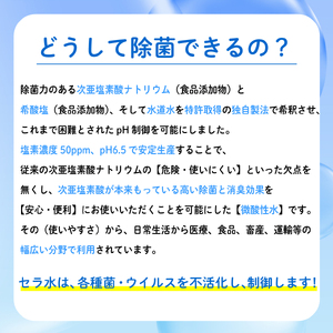 次亜塩素酸 水溶液 300ml × 2 本 セット 消毒液 除菌 セラ ウイルス対策 消毒液
