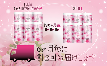 【 定期便 年 2 回 6 ヶ月毎 】 トイレットペーパー 12ロール ダブル 香り付き ローズ 花束 フラワー プリント 日用品 丸富製紙 定期 トイレットペーパー トイレットペーパー トイレットペーパー トイレットペーパー トイレットペーパー トイレットペーパー