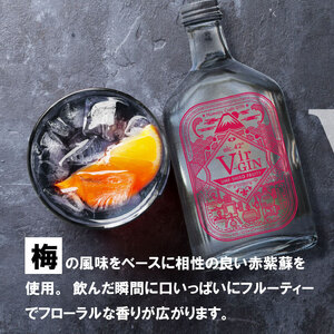 クラフト ジン Vir-GIN Ume-Shiso FRUITY 200ml 梅 紫蘇 ジン