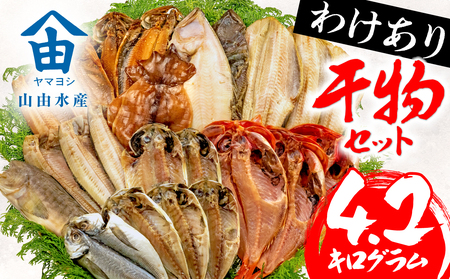 【2024年12月発送予定】 訳あり ひもの 干物 4.2kg おまかせ 詰め合わせ セット ホッケ 金目鯛 アジ サバ カレイ 赤魚 醤油干し フィレ 冷凍 規格外