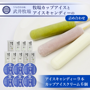 アイスクリーム カップ6個 アイスキャンディー3種 計9本セット