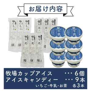 アイスクリーム カップ6個 アイスキャンディー3種 計9本セット