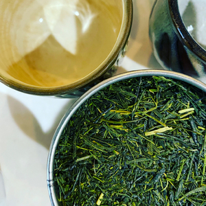 煎茶 100g 1袋 普通 緑茶 2025年産 農家直送 お茶 茶葉 静岡 沼津