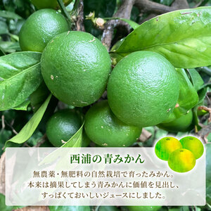 果汁 100％ みかん ジュース  500ml × 2本 青みかん ジュース ストレート 西浦 みかん オレンジ すっぱい 酸っぱい 飲み物 蜜柑 静岡 沼津 自然農