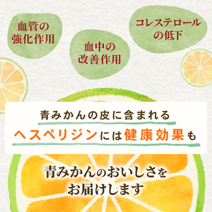 果汁 100％ みかん ジュース  500ml × 2本 青みかん ジュース ストレート 西浦 みかん オレンジ すっぱい 酸っぱい 飲み物 蜜柑 静岡 沼津 自然農
