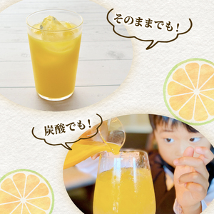 果汁 100％ みかん ジュース  500ml × 2本 青みかん ジュース ストレート 西浦 みかん オレンジ すっぱい 酸っぱい 飲み物 蜜柑 静岡 沼津 自然農
