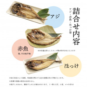 【2024年12月発送】干物 訳あり 干物 ひもの 約1.8kg おまかせ 詰め合わせ 干物 セット 本場沼津 規格外 不揃い 