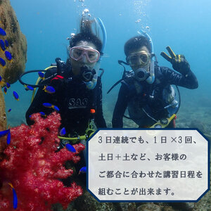 ダイビングライセンス BSAC オーシャンダイバーコース ダイビング