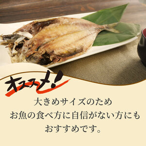 鯵 干物 特大 約2kg 10枚 あじ ひもの 鯵