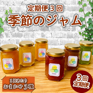 【 ジャム 定期便 3回 】 季節のジャム おまかせ3種 160g×3本 計9種