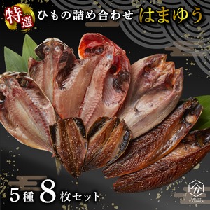 干物 厳選セット 5種 8枚 金目鯛 さば あじ 真ほっけ いわし ほっけ 