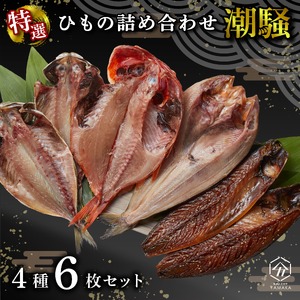 干物 厳選セット 4種 6枚 金目鯛 あじ 真ほっけ さば 干物