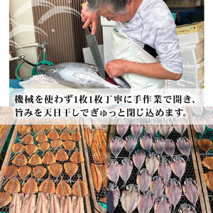 干物 詰め合わせ セット 12枚 + 季節のひもの 干物