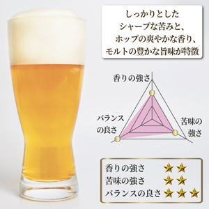 クラフトビール 坂本龍馬 ピルスナー 12本セット クラフトビール