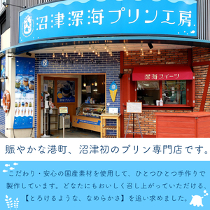 沼津 プリン   6個 セット プリン