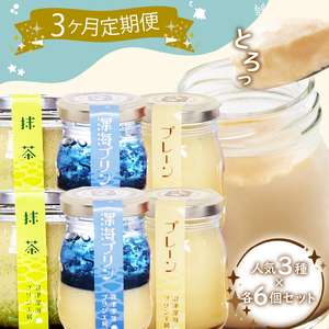 【3回定期便】 人気3種食べ比べセット 深海 プリン 沼津 プリン 抹茶 プリン 各6個 卵 プリン プリン プリン