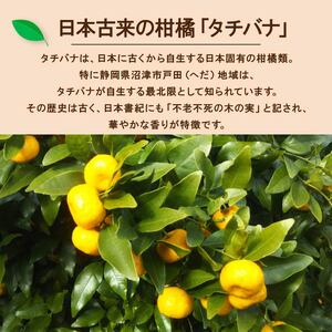 クラフトコーラ デイ 250ml 1瓶 カフェイン入り 戸田 たちばな コーラ 柑橘 贈答 ギフト 瓶 ( 静岡 沼津 )