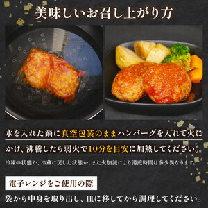 自家製 煮込みハンバーグ 2個入り(180g)×4パック 720g  国産牛 国産豚 煮込みハンバーグ
