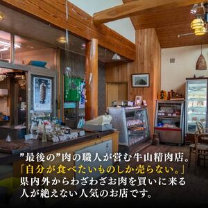 自家製 煮込みハンバーグ 2個入り(180g)×4パック 720g  国産牛 国産豚 煮込みハンバーグ