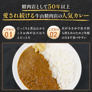 自家製 煮込みハンバーグ 2個入り(180g)×2パック 自家製カレー 200g×3パック セット 煮込みハンバーグ