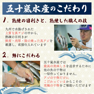訳あり 鯵 干物 約5kg 国産 真アジ 鯵