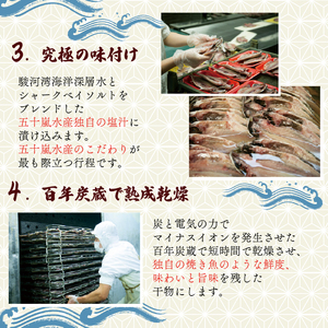訳あり 鯵 干物 約5kg 国産 真アジ 鯵