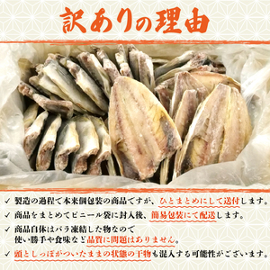 訳あり 鯵 干物 約5kg 国産 真アジ 鯵