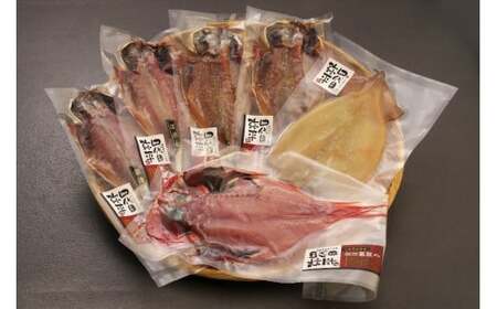 干物 選り抜き 干物 セット 国産 干物