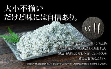 【訳あり】 釜揚げ しらす 500g 3パック サイズ不揃い 冷凍 しらす