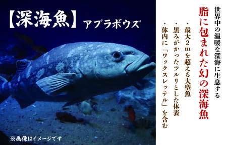 深海魚 アブラボウズ 白身魚 切身 500g 三枚卸し 深海魚