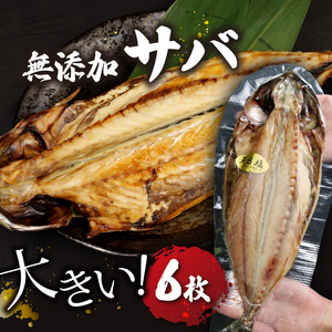 サバ 干物 個包装 6枚 無添加 サバ