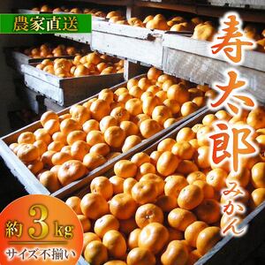 みかん 寿太郎 訳あり 約3kg みかん