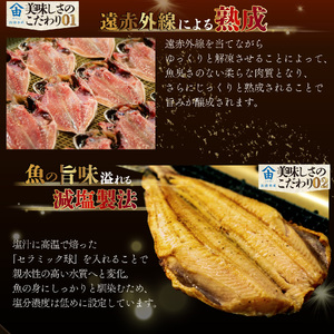 訳あり 干物 1.5kg 【2026年2月発送】 山由水産 干物 干物