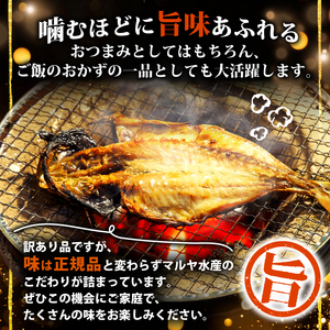 【2026年2月発送】 訳あり干物 約3kg 干物