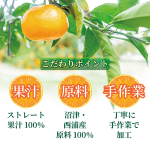 【先行予約_1月中旬発送】オレンジ ジュース ストレート 果汁 100％ 極早生 みかん 720ml×3本 西浦 蜜柑 贈答用 静岡 沼津