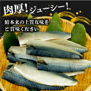国産塩サバフィレ 12枚 約1kg 鯖 サバ