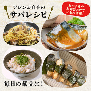 国産塩サバフィレ 21枚 約2.5kg 鯖 サバ