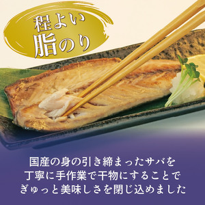 サバ 塩干し 干物 10枚 国産 無添加 サバ